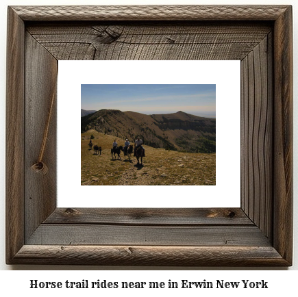 horse trail rides near me in Erwin, New York